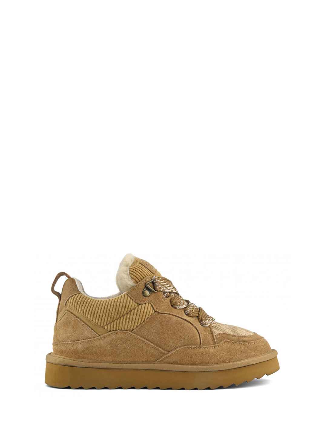 Colors Of California sneakers marrone YW261 MARRONE COLORS OF CALIFORNIA 