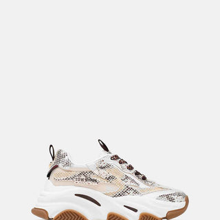 Steve Madden Possession-LT sneakers beige pitonato POSSESSION-LT BEIGE STEVE MADDEN 