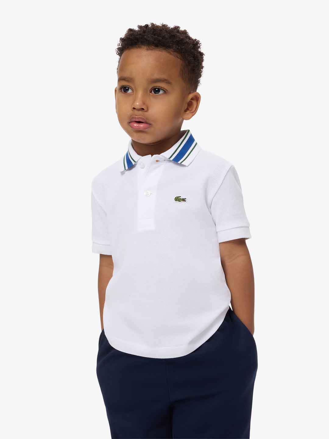Lacoste t-shirt kids bianco con colletto blu 8-16 anni 947038 W8L BIANCO LACOSTE 