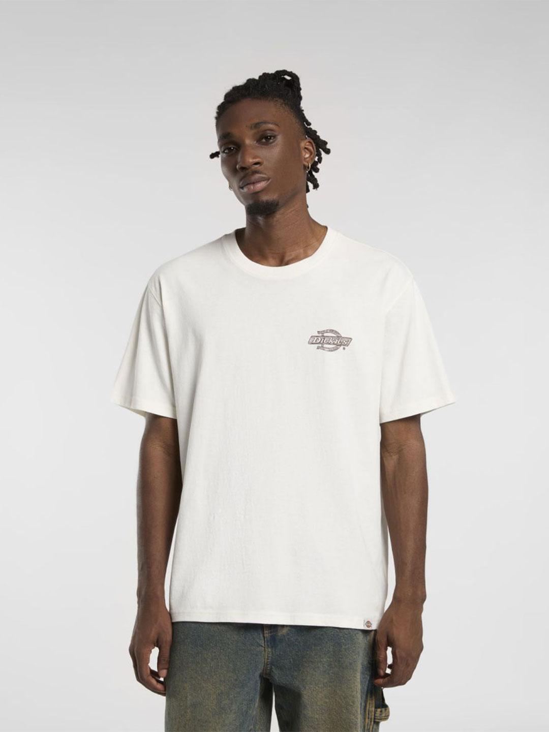 DICKIES DK0A4ZATC481PANNA